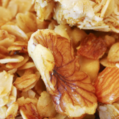 Fit 4 granola, the way you like it |Wellness magazine