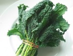 The power of kale| Wellness magazine