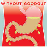 goodgut