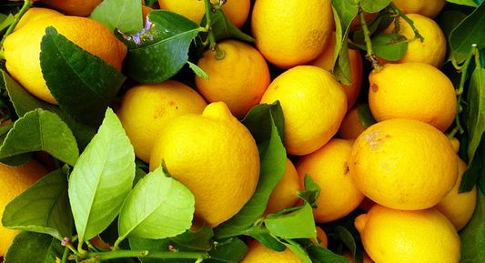 Lemon water can boost your immune system