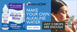Alkazone Global Inc.  .png
